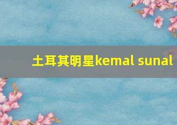 土耳其明星kemal sunal